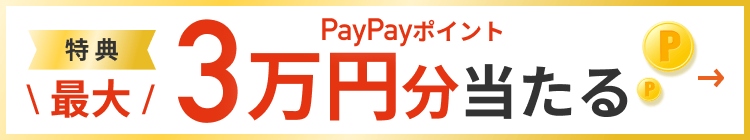 新年度応援キャンペーン　最大30000円分のPayPayポイントが当たる　詳しくはこちら