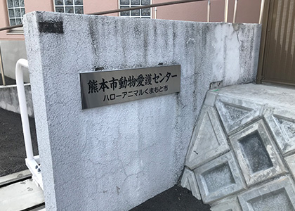 熊本市動物愛護センター 熊本県 犬の収容棟につながるスロープを明るく塗装 外壁塗装 屋根塗装ならプロタイムズ