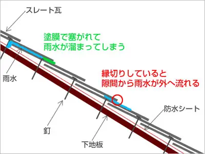 屋根塗装で「縁切り」が絶対に必要な理由 | 外壁塗装・屋根塗装ならプロタイムズ