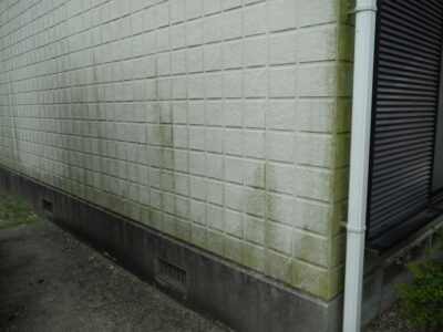 外壁のコケを綺麗に落とす方法と予防するポイント | 外壁塗装・屋根塗装ならプロタイムズ
